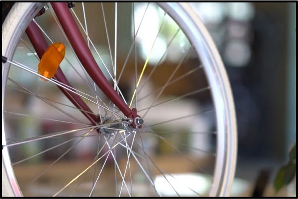 Baska Ol Bike Friendly Video Card