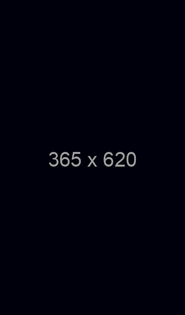 365X620